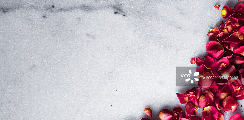 桌子上的红玫瑰俯视角度照片图片素材