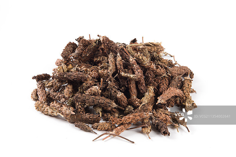 白底上的中药材夏枯草图片素材