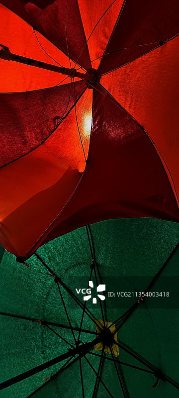 仰视视角下的雨伞图片素材