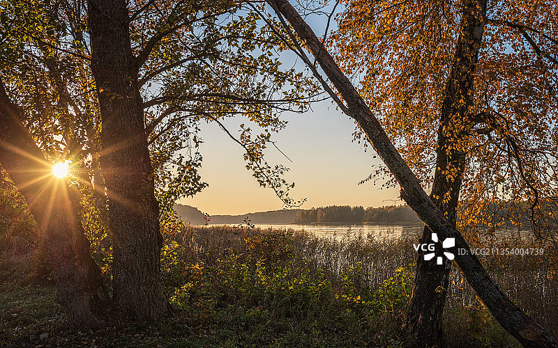 日落时分立陶宛陶拉格纳斯的田野树木图片素材
