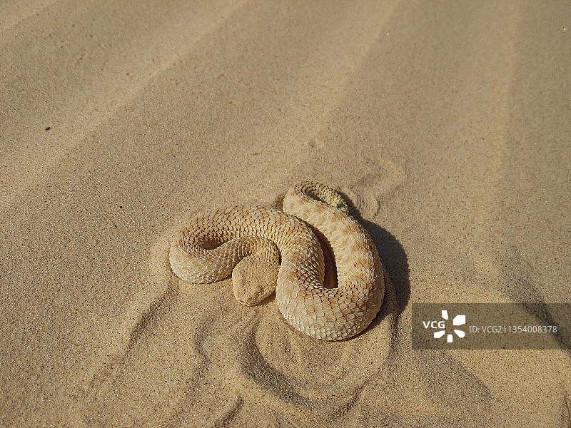 沙滩上沙滩足迹的高角度视图图片素材