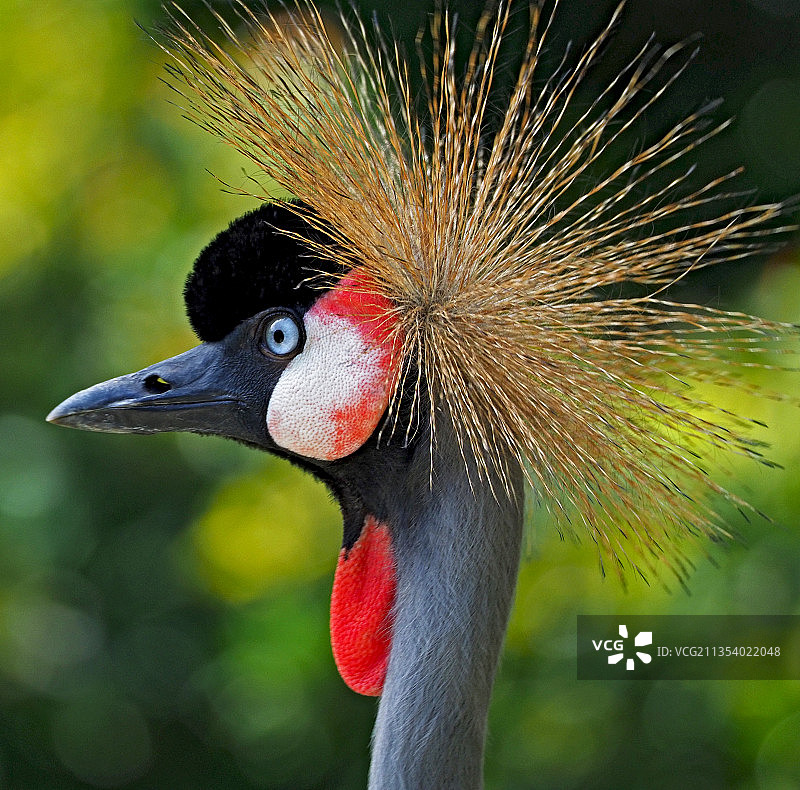 起重机特写图片素材
