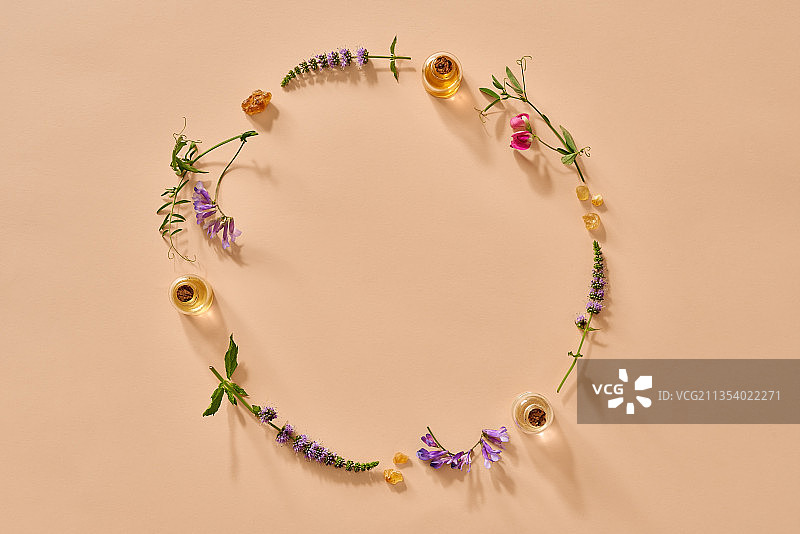 彩色背景花环俯视图图片素材