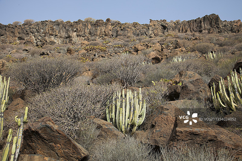 沙漠的风景在天空的衬托下图片素材