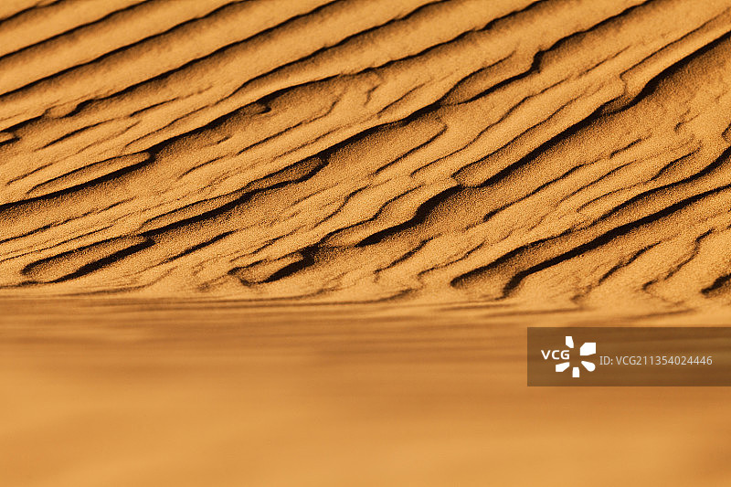 沙丘全画幅照片，美国图片素材