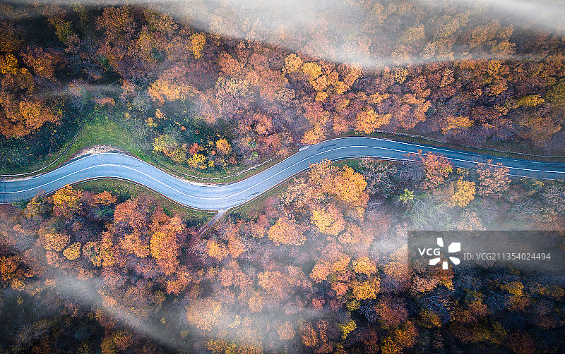 克罗地亚卡尔尼克秋季树林中的公路高角度景观图片素材