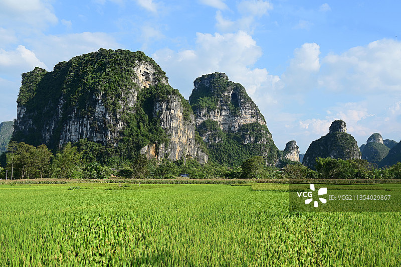 广西崇左明仕田园的喀斯特地貌图片素材