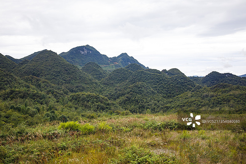 中国贵州大方油杉河景区崔苏坝国际露营基地图片素材