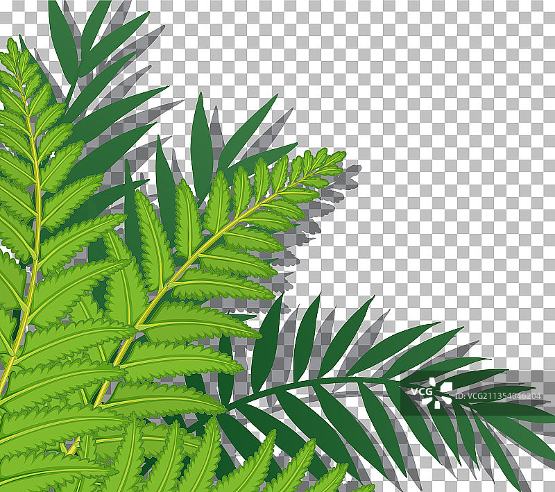 自然植物透明背景框架图片素材