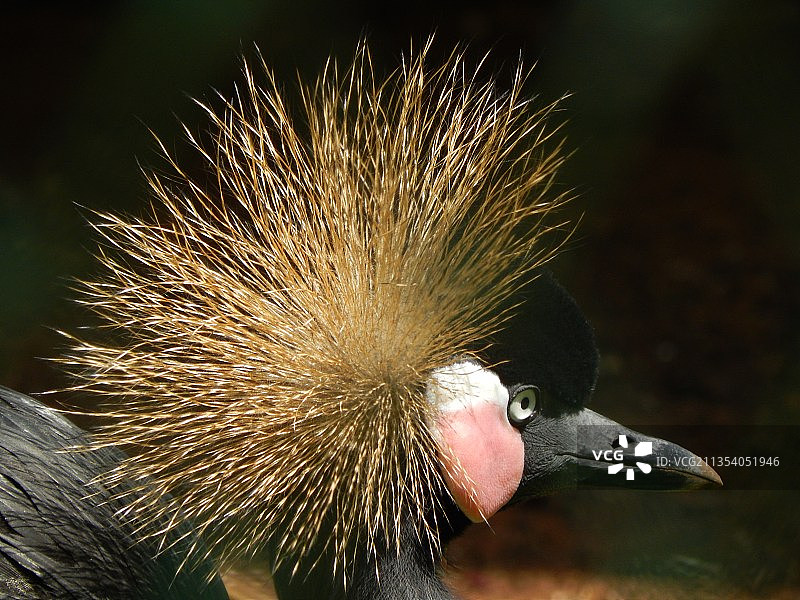 起重机特写图片素材