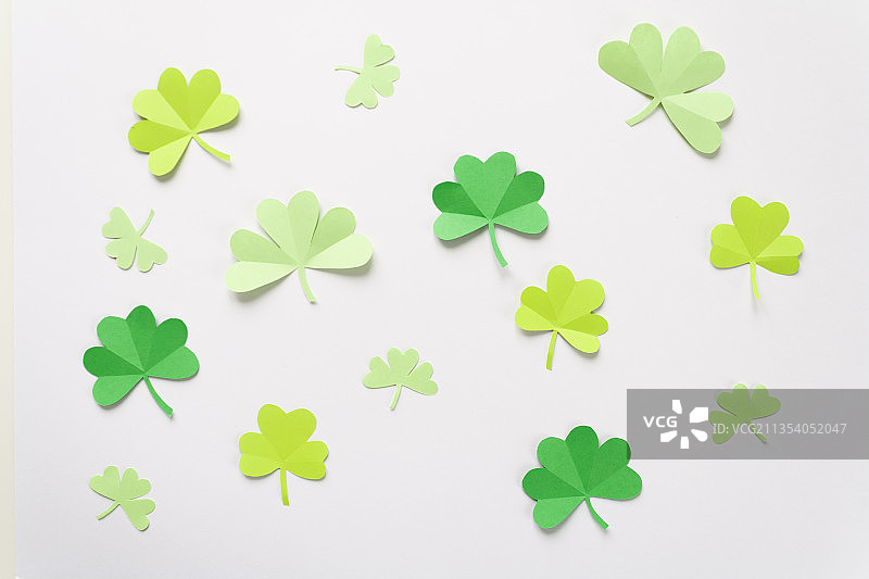 白色背景下的绿叶特写镜头图片素材