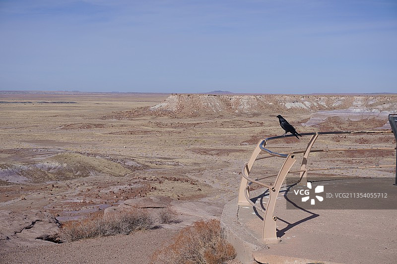 美国亚利桑那州石化林国家公园沙漠美景图片素材