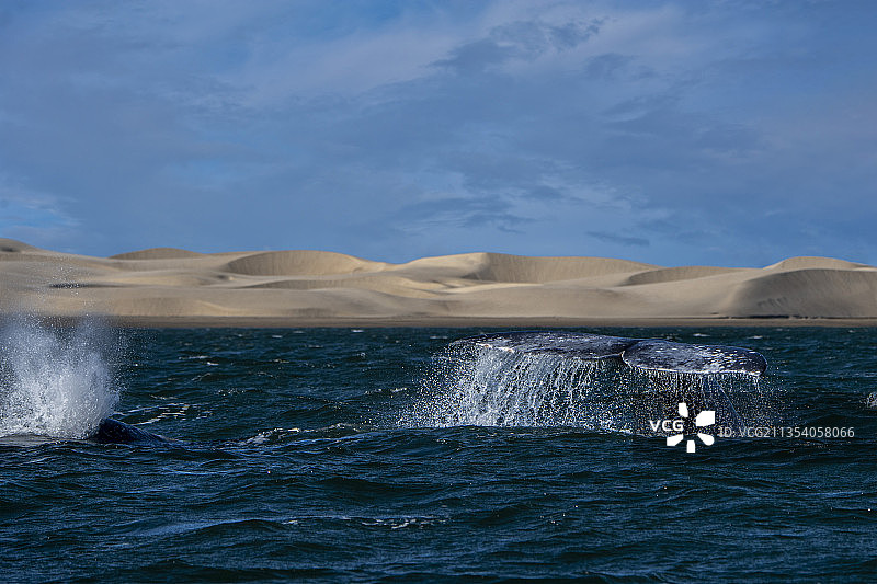 墨西哥南下加利福尼亚州海景图片素材