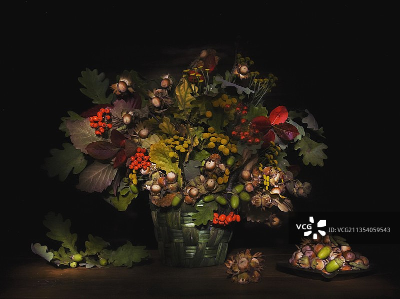 黑色背景下的花朵特写图片素材