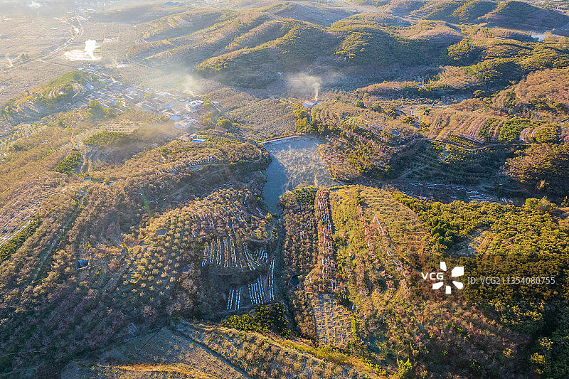 航拍沂蒙山区乡村苹果园图片素材
