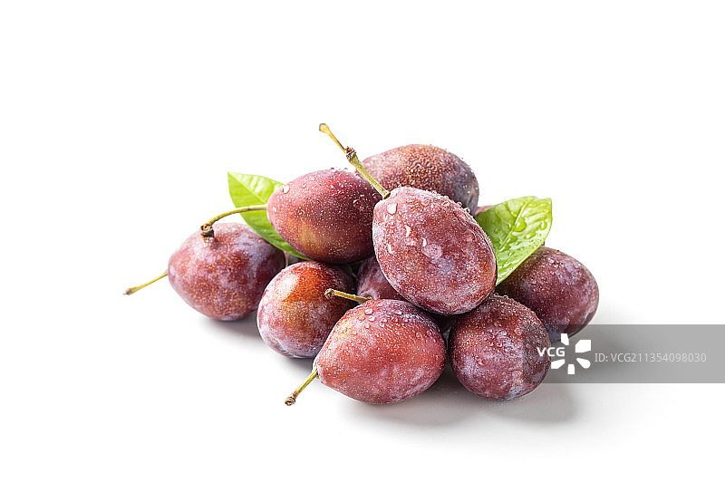 新疆西梅图片素材