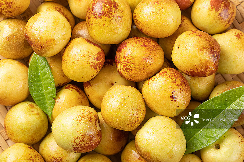 沾化脆冬枣图片素材