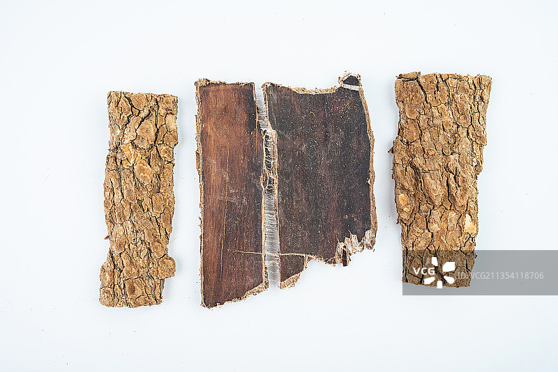 白背景上的中药材四川野生杜仲图片素材