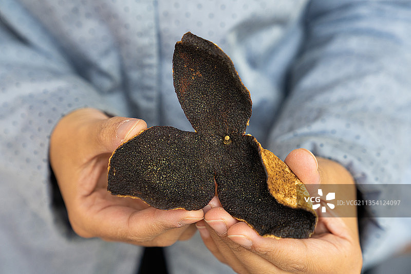 新会陈皮图片素材