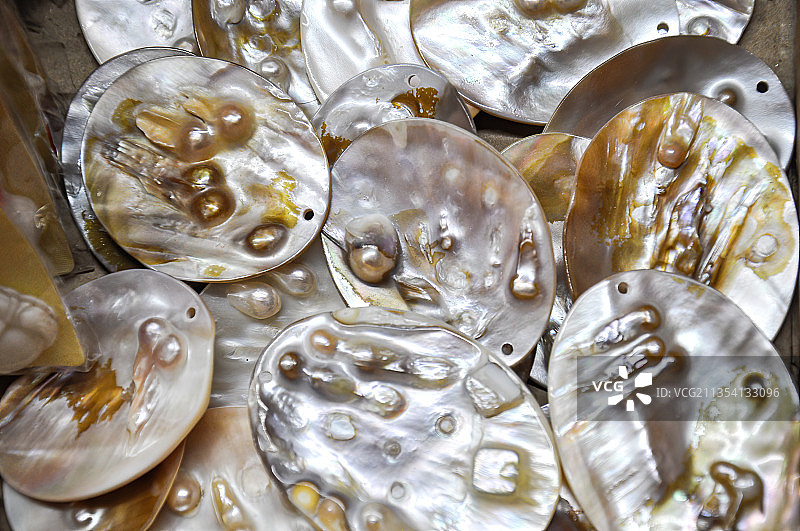 在贝壳里的珍珠图片素材