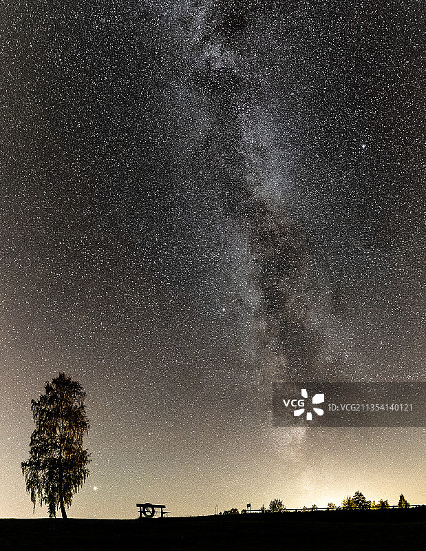 瑞典夜空星空下的树木轮廓图片素材