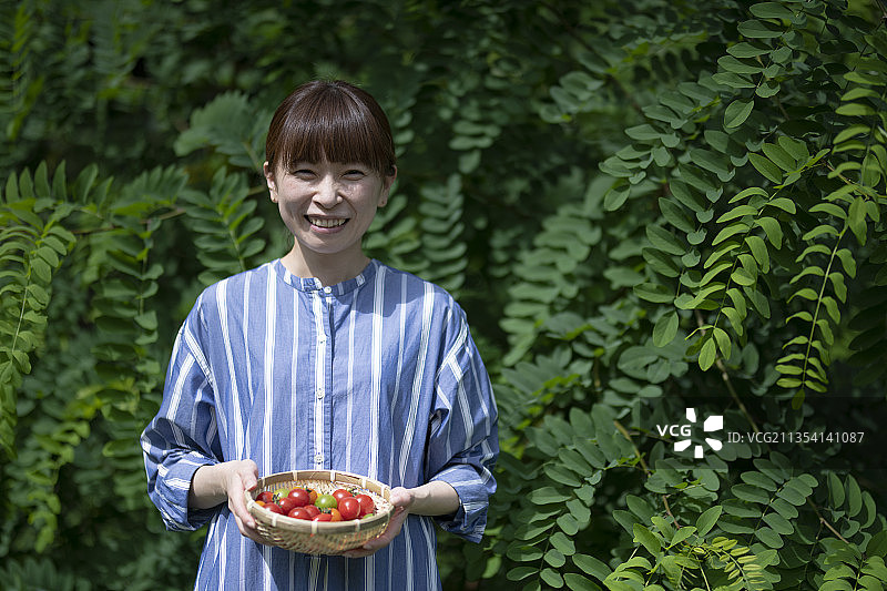 收获蔬菜的女人图片素材