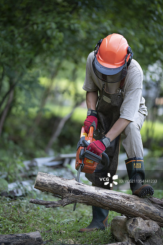 男子切割原木图片素材