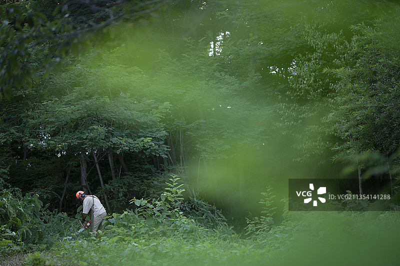 男人砍伐木材图片素材