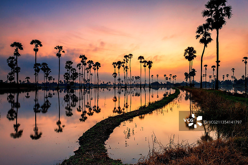 泰国沙姆科日落时分湖边棕榈树剪影图片素材