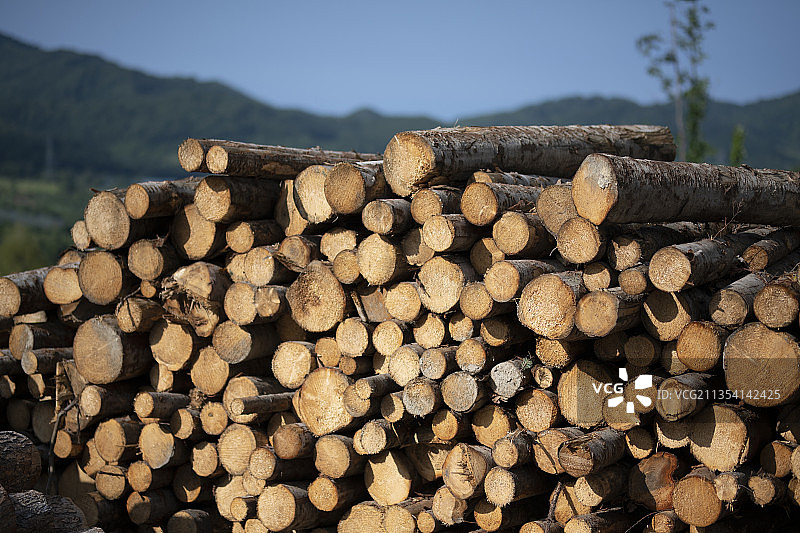堆叠的日志图片素材