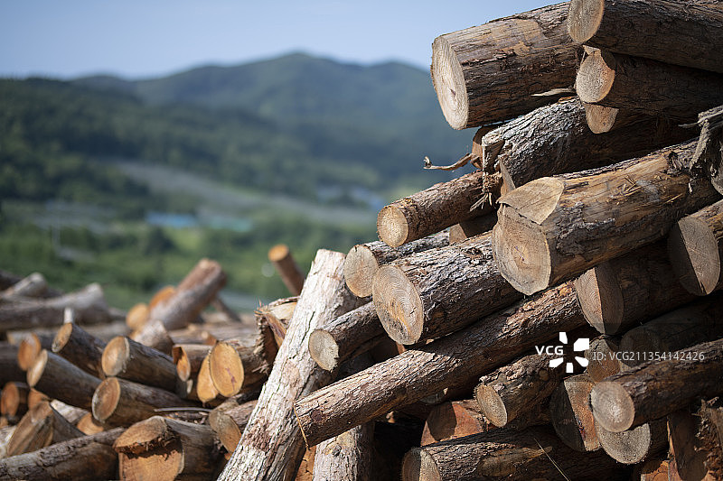 堆叠的日志图片素材