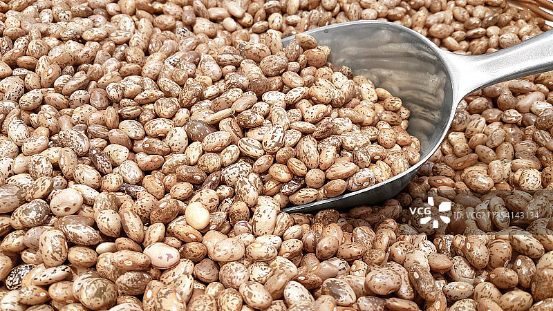 斑豆和转移勺图片素材