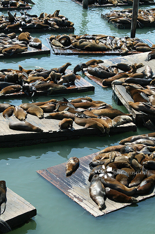 美国海滨大道海滩岩石高角度景观图片素材