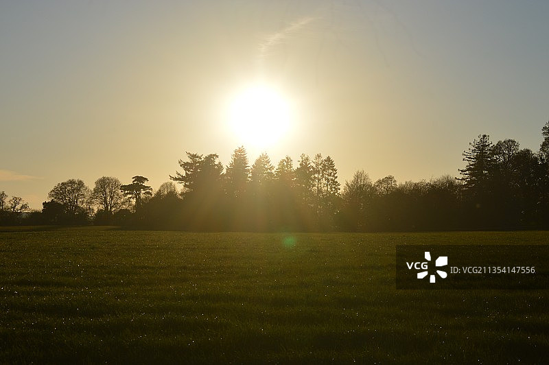 日落时分英国德文郡的田野树木图片素材