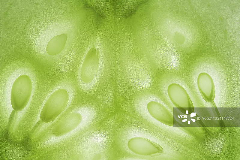 绿叶全景照片图片素材