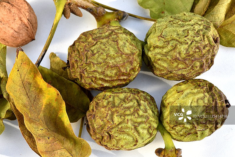 法国白色背景水果特写图片素材