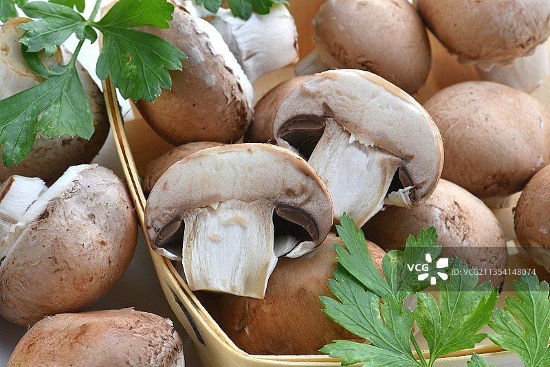 法国桌子上的蘑菇特写图片素材