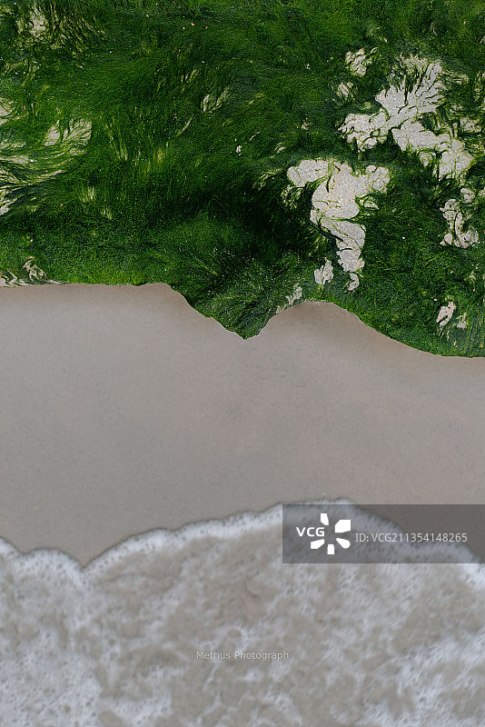 树木掩映下的河流航拍图片素材