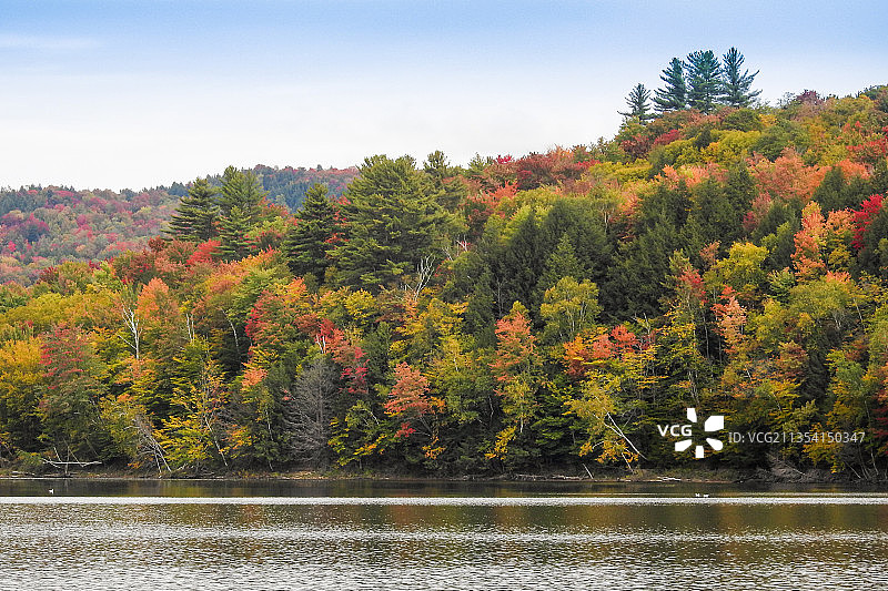 美国小河州立公园：秋日湖畔的树木与天空图片素材