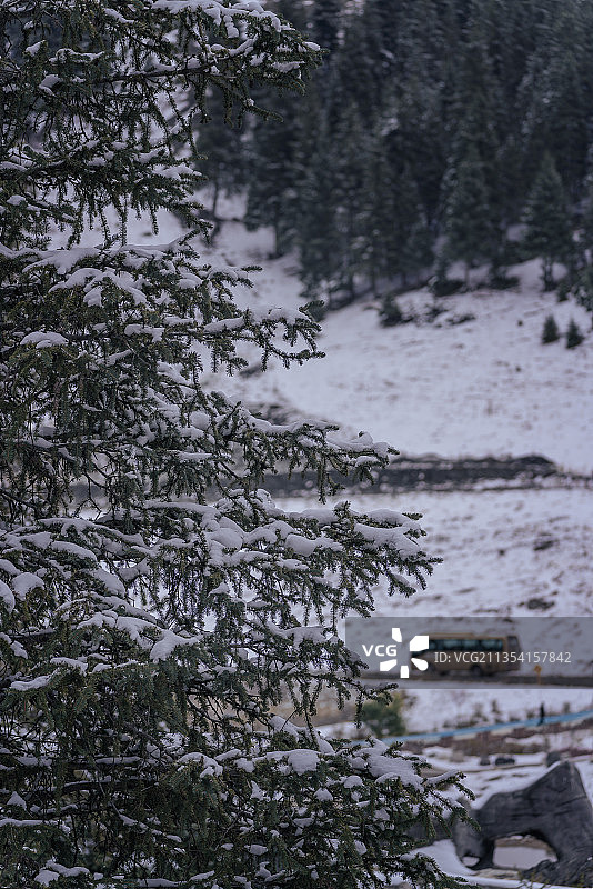 天山森林瀑布图片素材