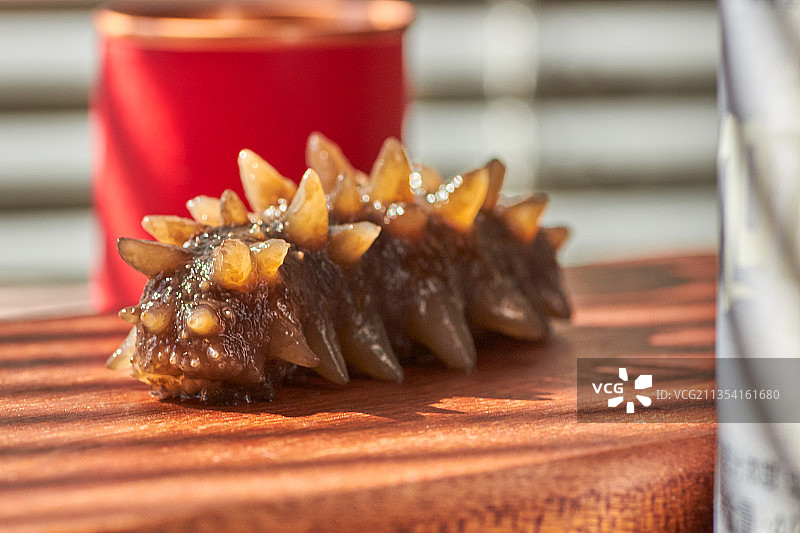 窗前海参图片素材