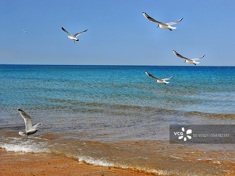 巴西贝蒂奥加晴朗天空下的壮丽海景图片素材