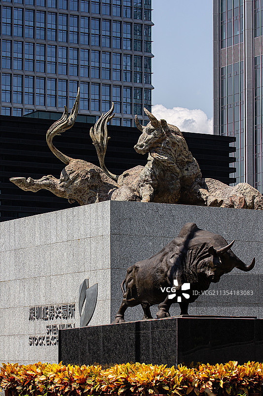 深圳证券交易广场的两座铜牛塑像图片素材