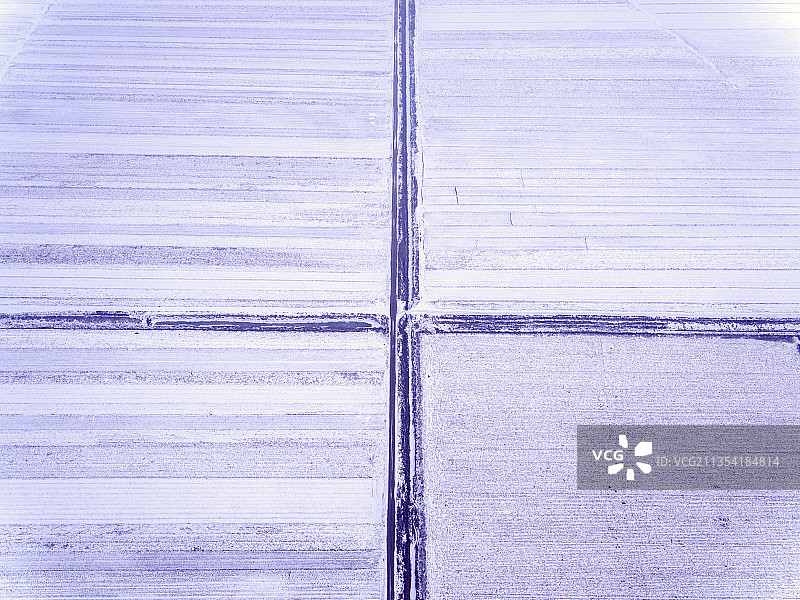 白雪覆盖下的田地图片素材