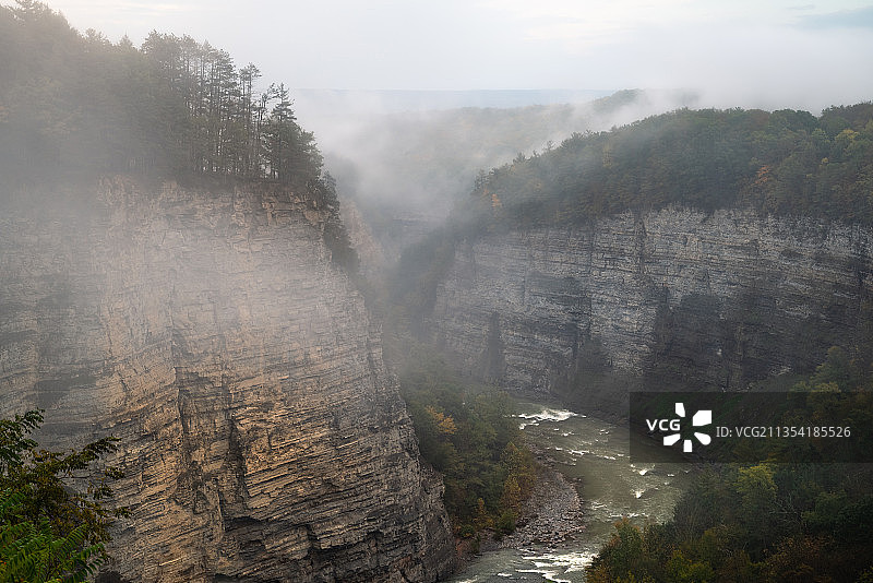 美国莱奇沃思州立公园森林中的河流美景图片素材