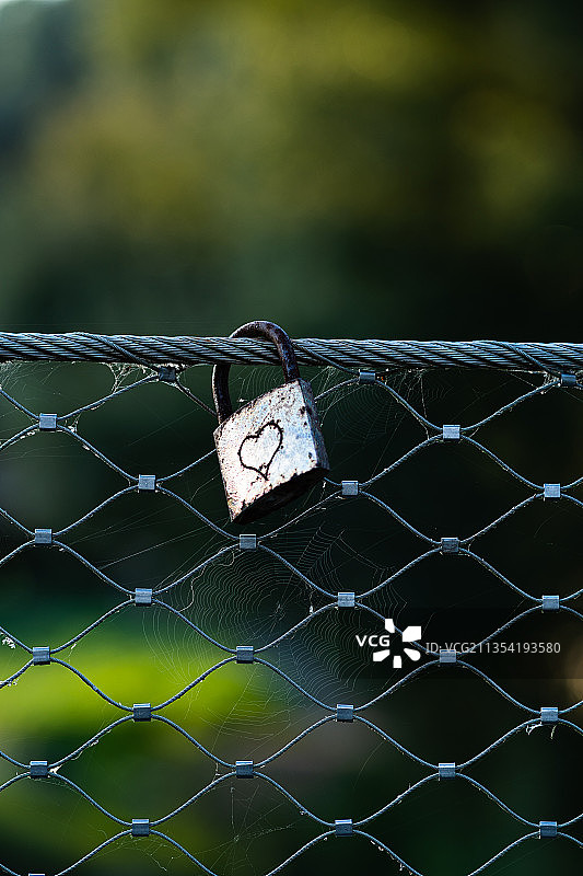 铁丝网上蜘蛛网的特写图片素材