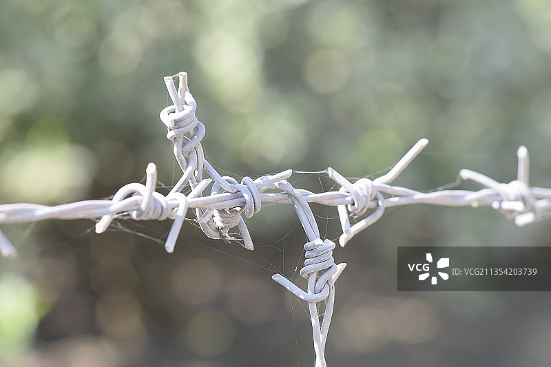 带刺铁丝网特写图片素材