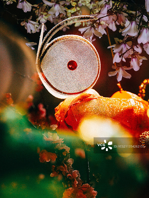 新年春节过年花灯兔子灯图片素材