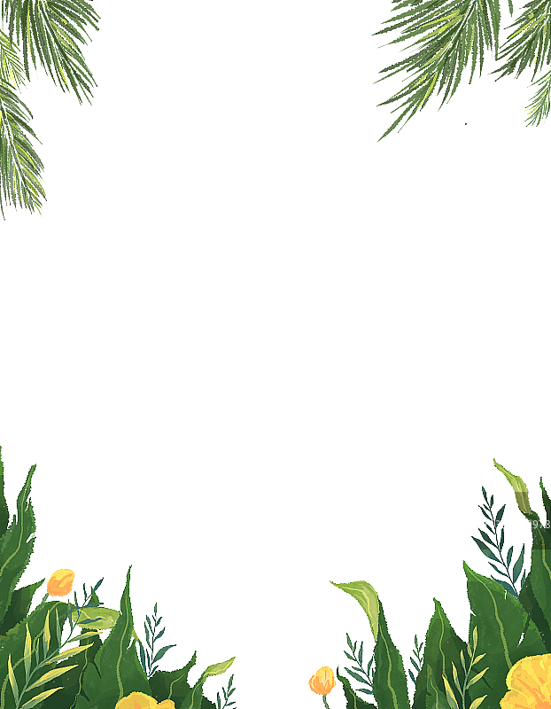 棕榈叶子花朵边框图素图片素材