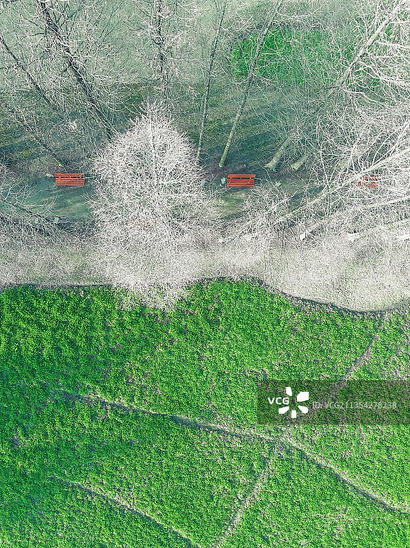 航拍公园美景图片素材